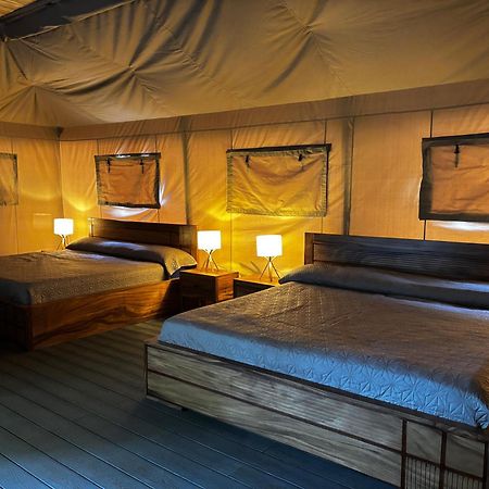 Arenal Backpackers Resort La Fortuna Kültér fotó
