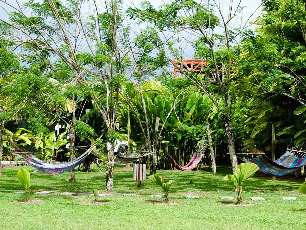 Arenal Backpackers Resort La Fortuna Kültér fotó Hammocks in the garden of a hostel in Central America