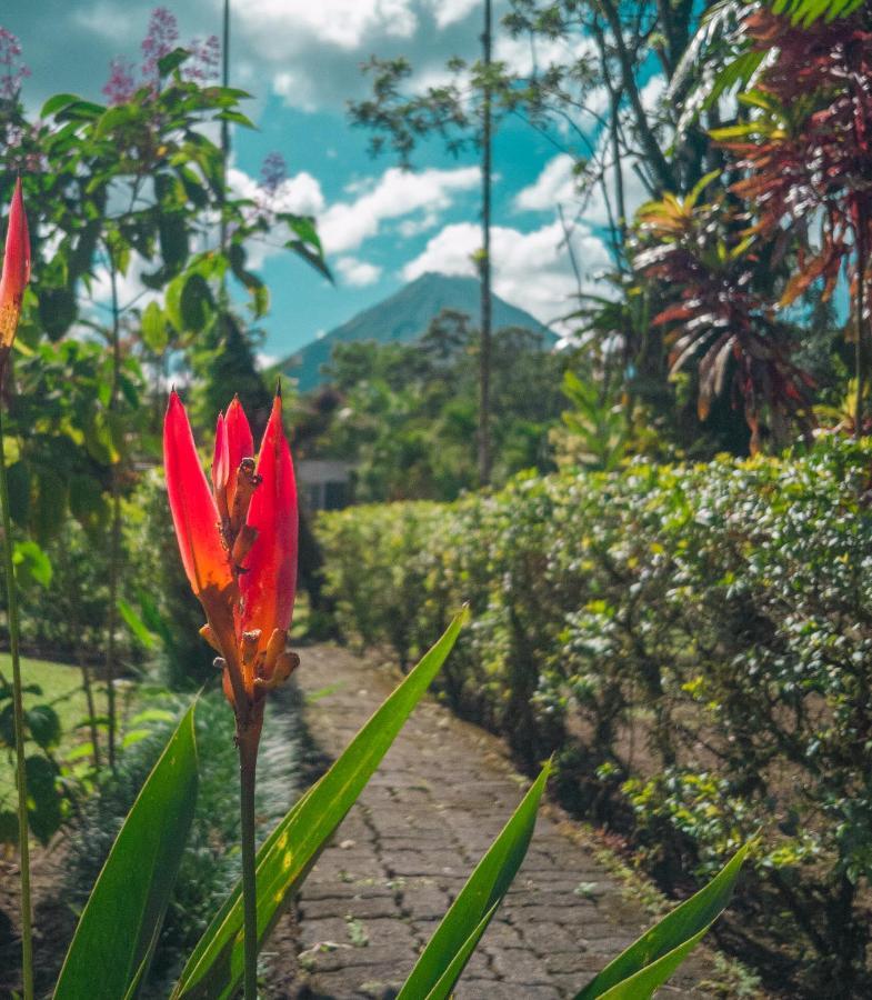 Arenal Backpackers Resort La Fortuna Kültér fotó A view of Mount Apo