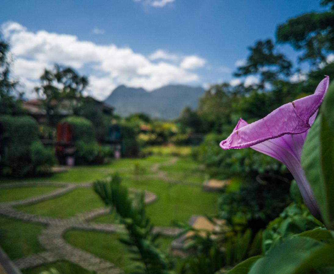 Arenal Backpackers Resort La Fortuna Kültér fotó View of the San Juan Mountains from the San Juan del Monte