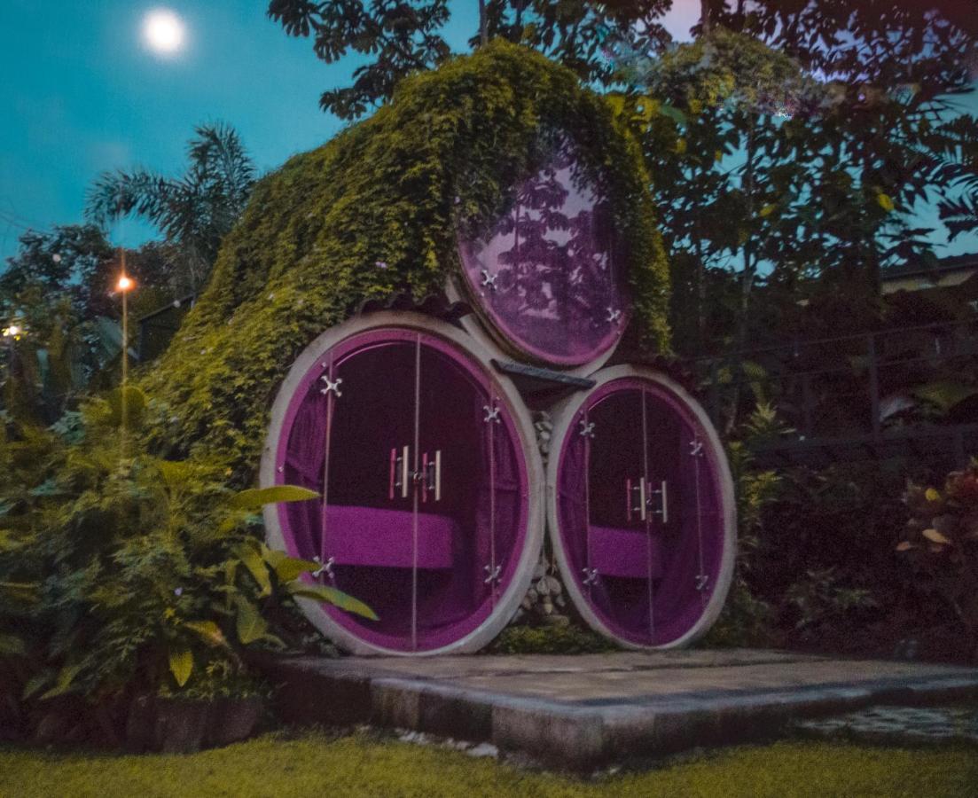 Arenal Backpackers Resort La Fortuna Kültér fotó The Hobbit Hole